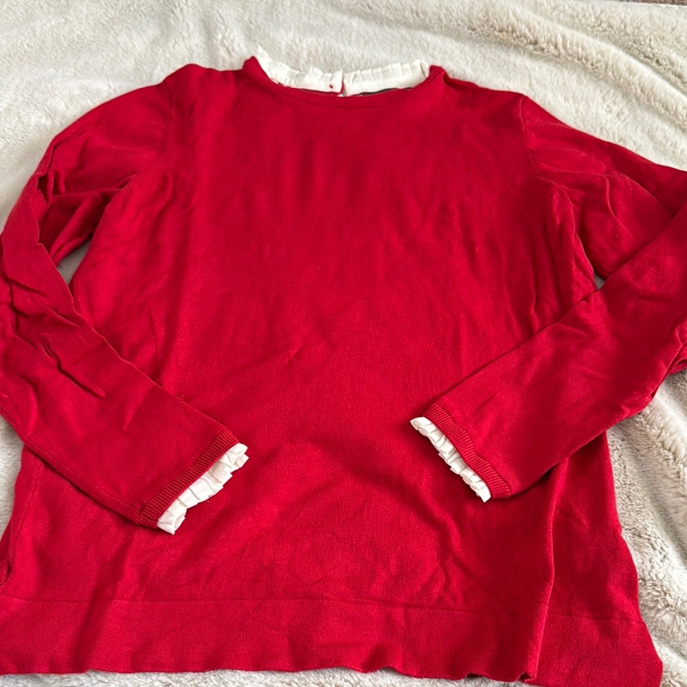 🌷The Limited sweater